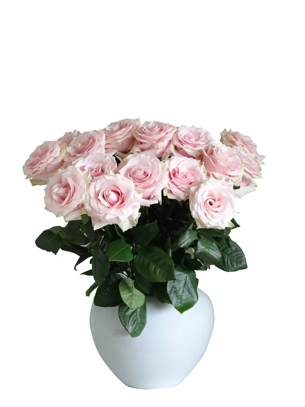 Pink Mondial